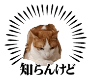 840182177