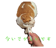 840182178