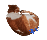 840182181