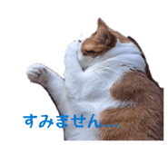 840182183