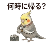 840182667