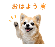 840183681