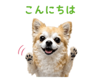 840183683