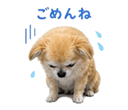 840183686