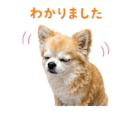 840183690