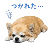 840183699