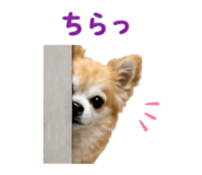 840183702