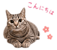 840184090