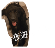 840184486