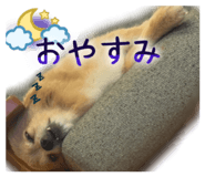 840184676