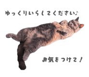 840185515