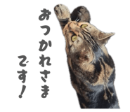 840185520