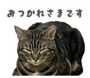 840185521