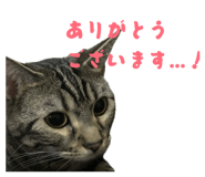 840185527