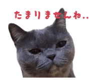 840185544