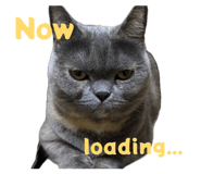 840185550