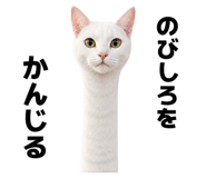 840185570