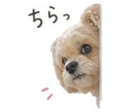840185989