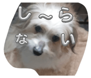 840190428