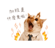 840191430
