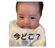 840191813