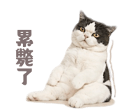 840191990