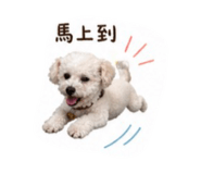 840192816