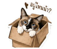 840195486