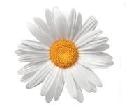 840196460