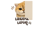 840198128