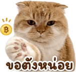840199035