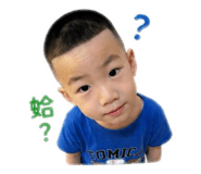 840203981