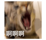 840204481