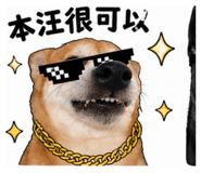 840204676