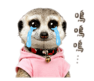 840204830