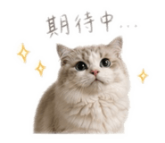 840204894