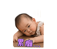 840205511
