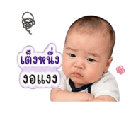 840206043