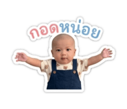 840206080