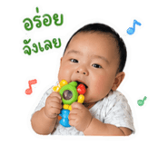 840206520