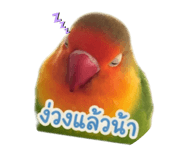 840206856