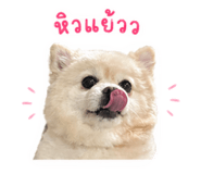 840207583