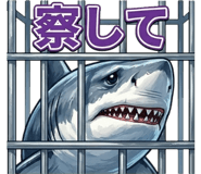 840208446