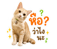 840208579