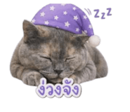 840208704
