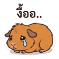 840209170