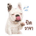 840209374