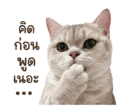 840209494