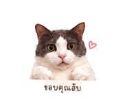 840209621