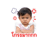 840209816
